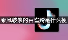 抖音乘风破浪的百雀羚是什么梗