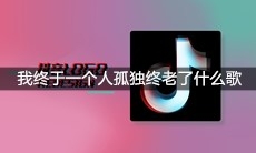 抖音可笑吧我终于一个人孤独终老了什么歌