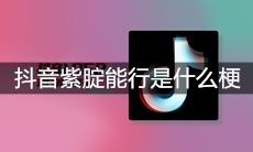 抖音紫腚能行是什么梗