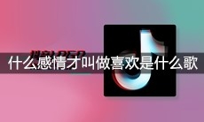 抖音什么感情才叫做喜欢是什么歌