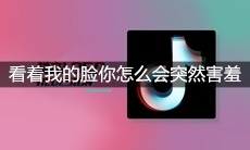 抖音看着我的脸你怎么会突然害羞是什么歌