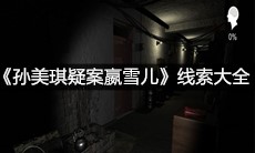 《孙美琪疑案嬴雪儿》线索大全