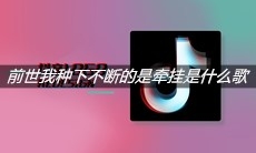 《抖音》前世我种下不断的是牵挂是什么歌