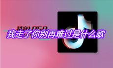 抖音我走了你别再难过是什么歌