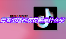 抖音青春型精神病花痴是什么梗