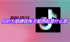 抖音你的大眼睛我每天都想起是什么歌