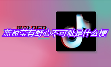 蓝盈莹有野心不可耻是什么梗