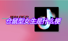 抖音仓鼠型女生是什么梗