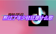 抖音熬过了年少轻狂也懂得了世事无常是什么歌