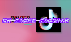 抖音错爱一生为你痴迷一生为你是什么歌