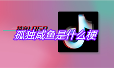 抖音孤独咸鱼是什么梗