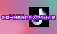 抖音哥是一根葱来自外太空谁要拿我沾大酱我弄他老祖宗是什么歌