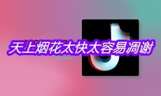 抖音天上烟花太快太容易凋谢是什么歌