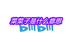 菜菜子是什么意思