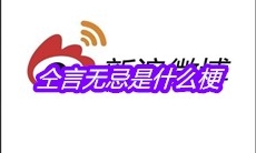 仝言无忌是什么梗