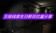 《孙美琪疑案嬴雪儿》五级线索生日鲜花位置分享