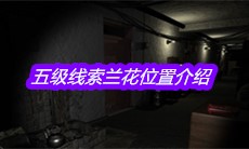 《孙美琪疑案嬴雪儿》五级线索兰花位置介绍