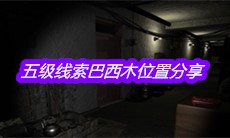 《孙美琪疑案嬴雪儿》五级线索巴西木位置分享