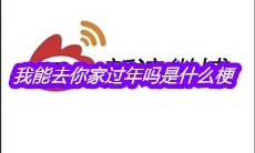 我能去你家过年吗是什么梗