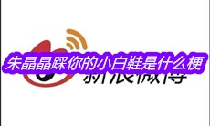 朱晶晶踩你的小白鞋是什么梗