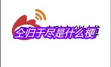 仝归于尽是什么梗