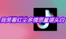 抖音我笑看红尘多情思量堪头白是什么歌