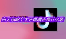 抖音白天你呲个大牙嘎嘎乐是什么歌