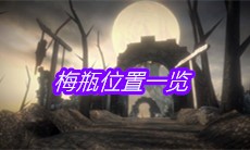 《帕斯卡契约》梅瓶位置一览