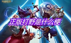 正版打野是什么梗