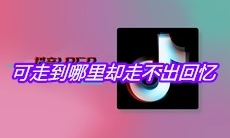 抖音可走到哪里却走不出回忆是什么歌