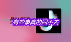 抖音有些事真的回不去终究会选个爱自己的人是什么歌