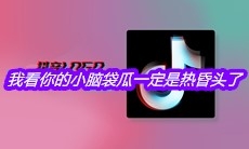 抖音我看你的小脑袋瓜一定是热昏头了是什么歌