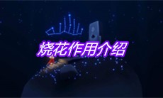 《sky光遇》烧花作用介绍