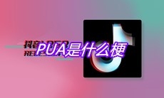 PUA是什么梗