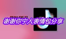 谢谢你宁人表情包分享