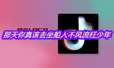 抖音那天你真该去坐船人不风流枉少年是什么歌