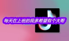抖音每天在上班的我多希望有个大哥是什么歌