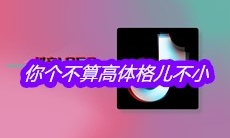 抖音你个不算高体格儿不小整天叭叭屁事儿不少是什么歌