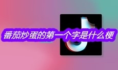 抖音番茄炒蛋的第一个字是什么梗