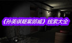 《孙美琪疑案郎威》线索大全