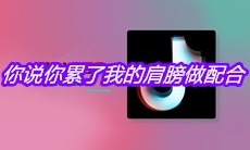 抖音你说你累了我的肩膀做配合是什么歌