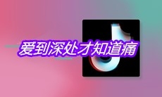 抖音爱到深处才知道痛是什么歌