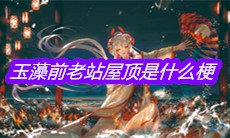 阴阳师玉藻前老站屋顶是什么梗