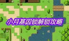 《大千世界》小月基因锁解锁攻略