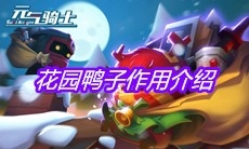 《元气骑士》花园鸭子作用介绍