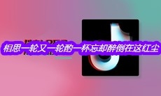 抖音相思一轮又一轮酌一杯忘却醉倒在这红尘是什么歌