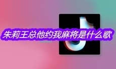 抖音朱莉王总他约我麻将是什么歌