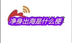 净身出海是什么梗