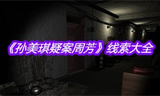 《孙美琪疑案周芳》线索大全