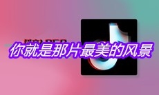 抖音你就是那片最美的风景是什么歌